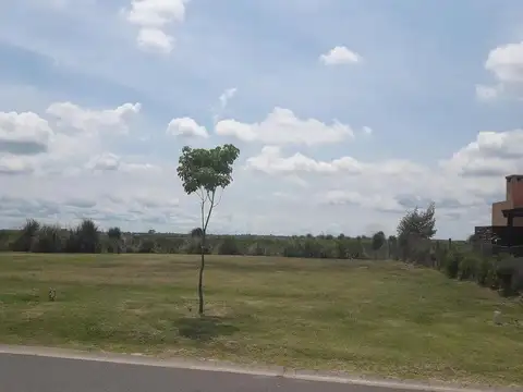 El Canton Golf 300