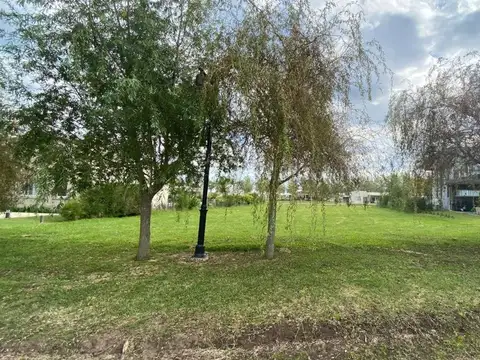 Terreno en Venta de 1000,0 m2