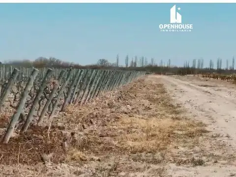 La Dormida, distrito de Santa Rosa