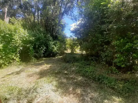 (079) Terreno  de 3500 mt² en Lago Puelo (B° Maderera)