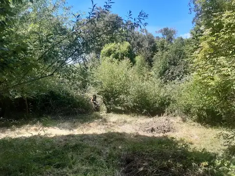 Terreno en Venta 119  mts Fondo