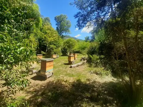 (079) Terreno  de 3500 mt² en Lago Puelo (B° Maderera)