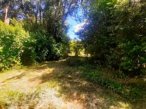 (079) Terreno  de 3500 mt² en Lago Puelo (B° Maderera)