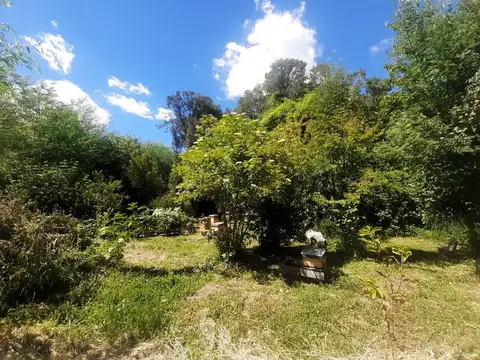 lago puelo
