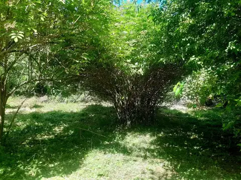 Terreno en Venta 33,16  mts Frente