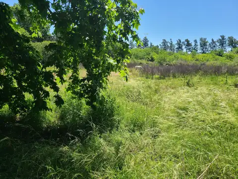 Terreno en Venta 53  mts Frente