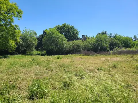Terreno en Venta, de 6.219m2, en Barrio Albizola, Otamendi, Campana, GBA Norte