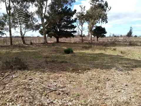 Terreno en Calle El Cangrejo -Paraje Pavon-