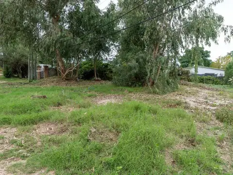 Tabaré