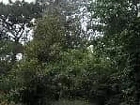 Casa quinta en Venta en Moreno