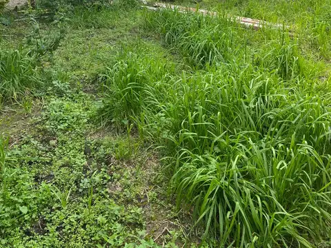 MONSEÑOR MARCON 4000, Piso PB