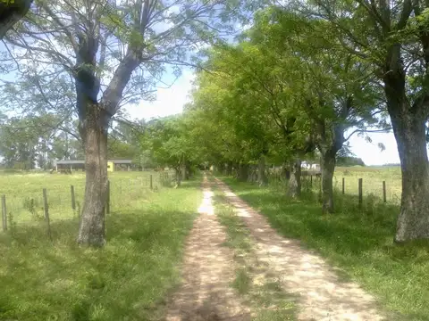 Campo en venta Lujan