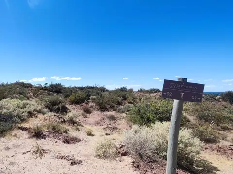 Terreno en Venta de 878,0 m2