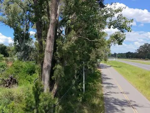 VENTA LOTE COMERCIAL FRENTE A RUTA 8 - EXALTACIÓN DE LA CRUZ