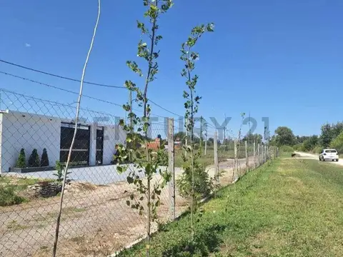 Terreno en Venta en Los Hornos, USD 15.000