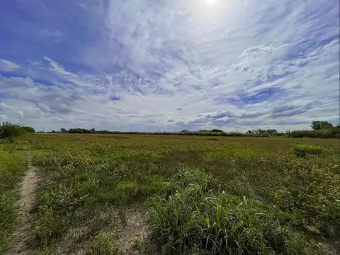 VENTA CAMPO APTO LOTEO Y/O DESARROLLO LOGÍSTICO/INDUSTRIAL