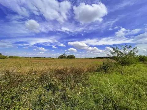 VENTA CAMPO APTO LOTEO Y/O DESARROLLO LOGÍSTICO/INDUSTRIAL