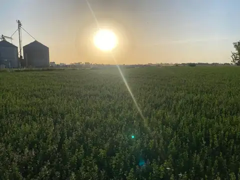 SOBRE RUTA PROVINCIAL 1  INTERCECCION RUTA 19