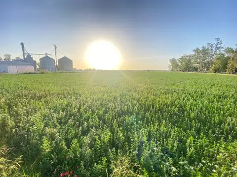 OPORTUNIDAD 5 LOTES CON ALTO RETORNO SOBRE RUTA 1