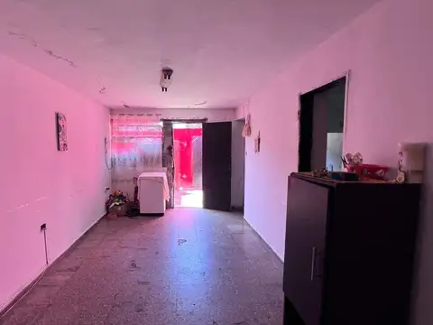 Miguel de Sesse 2600