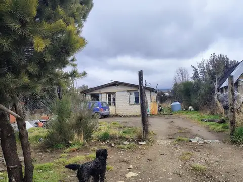 Nehuén 900
