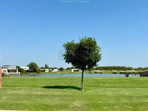 Area 10 Nuestra Señora de Fatima s/n