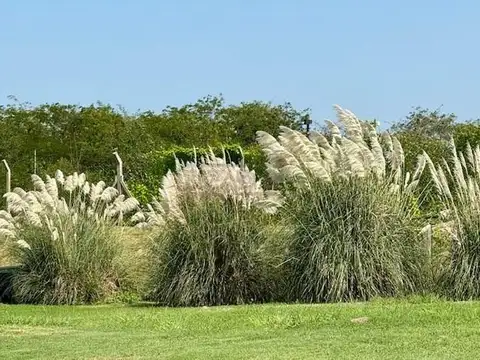 Terreno en Venta de 923,0 m2