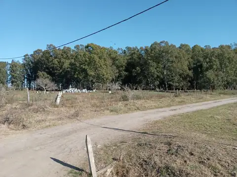 Terreno en Venta en Berisso, USD 90.000