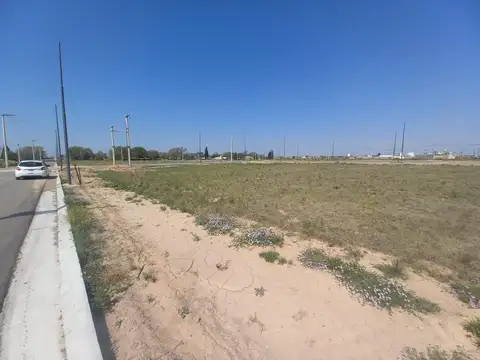 Terreno en Venta de 250,0 m2