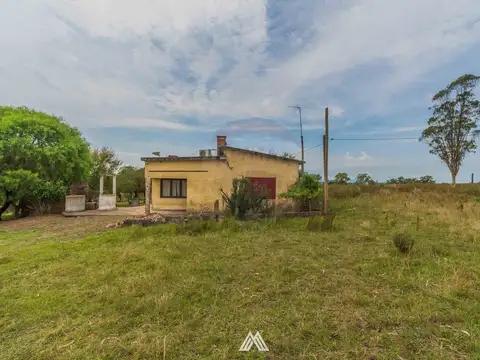 Venta de campo 12Ha. con casa en Ruta 80 Migues