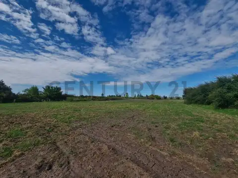 Ruta Provincial 165 , Piso 0