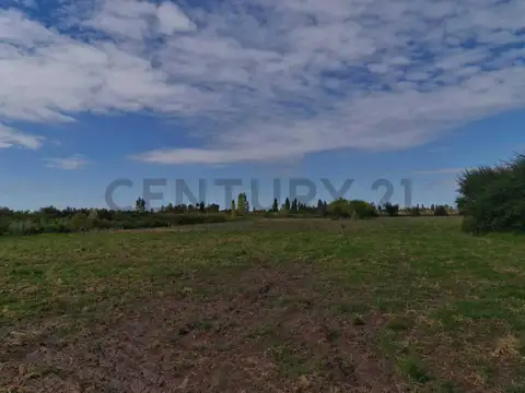 VENTA DE LOTE EN CONDOMINIO EN SAN RAFAEL, MENDOZA.