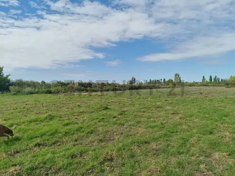 Terreno en Venta de 1000,0 m2