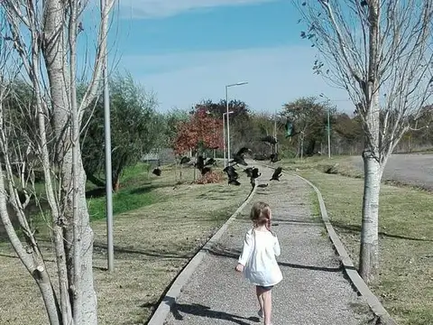 Terreno en Venta en City Bell, USD 45.000