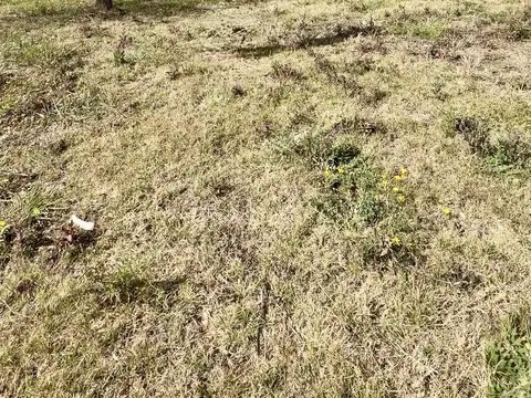 Terreno en Venta en Zona Oeste, USD 75.000