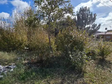 Terreno en Venta de 255,0 m2