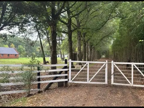 Campo - Los Cardales