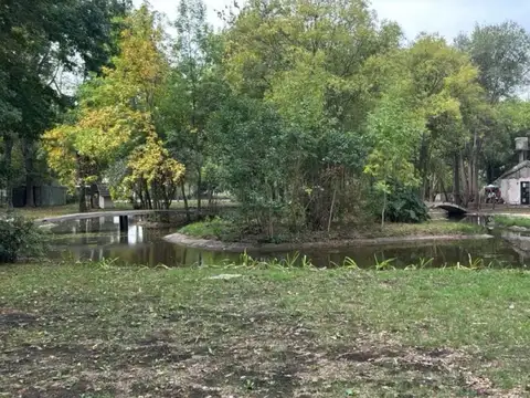 Campo - Los Cardales