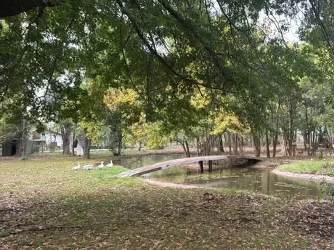 Campo en Ruta 8 km 74