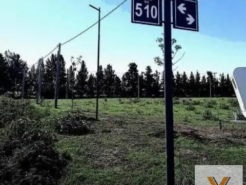 Terreno en Venta en Joaquin Gorina, USD 17.000