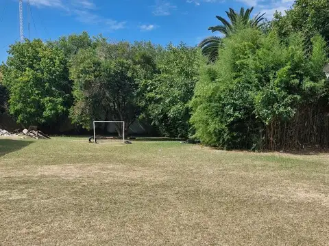 Los Olivos 100