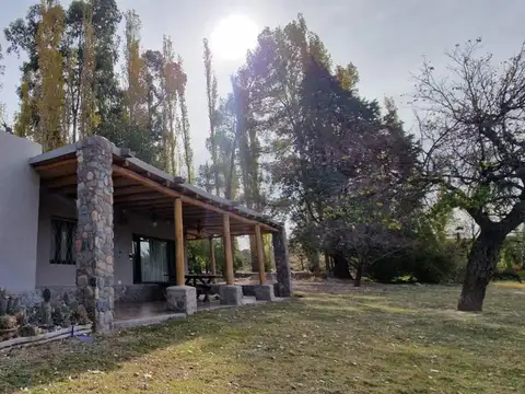 Venta finca 12 has con 2 casas puchuzun calingasta