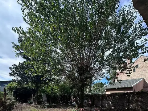 Terreno en Venta de 460,0 m2