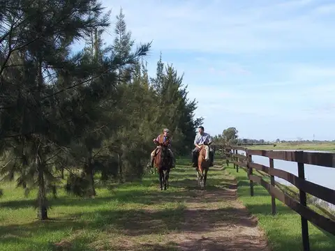 Terreno en Venta de 1170,0 m2