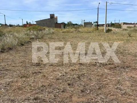 La Dorada Mza D Lote 100
