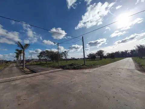 Terreno en Venta 25  mts Fondo