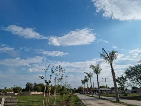 Venta Terreno Longchamps - Lote Barrio "La Arbolada"