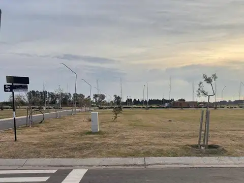 LOTE VENTA ECOTIERRA PUEBLO ESTHER 