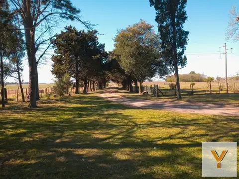 Chacra en venta - 4 Dormitorios 3 Baños - 55.000Mts2 - Saladillo