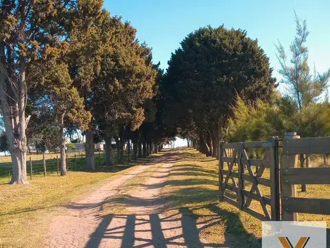 Chacra Las Margaritas